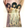 Three Degrees 1973 PIR 65858 The Three Degrees Begagnat LP