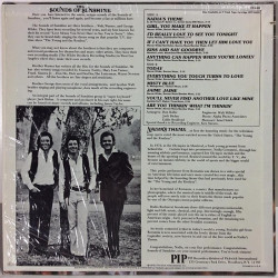 Sounds Of Sunshine: Nadia’s Theme - Käytetty LP EX- / EX