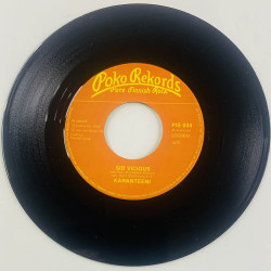 Karanteeni 1979 PIS 034 Sid Vicious / Potilas X begagnad singelskiva