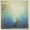 Ben Howard LP Every Kingdom kunto  LP