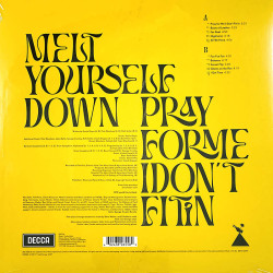 Melt Yourself Down LP Pray For Me I Don't Fit In  LP