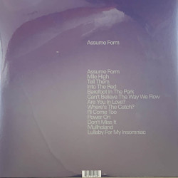 Blake James LP Assume Form 2LP  LP