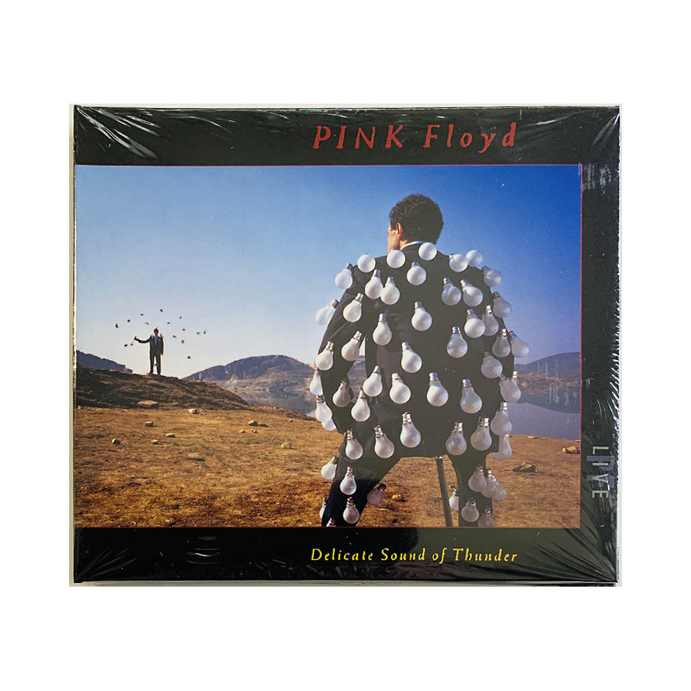 Pink Floyd 1988 PFR16 Delicate Sound Of Thunder 2CD CD