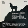 Byrds LP Sweetheart of the rodeo  uusi LP