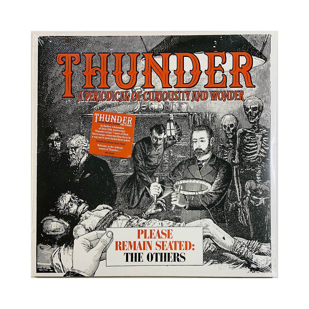 Thunder 2019 BMGCAT344LP Please remain seated: The others LP