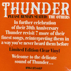 Thunder 2019 BMGCAT344LP Please remain seated: The others LP