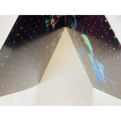 Parker Graham 1978 SRM-2-100 Parkerilla 2LP Begagnat LP