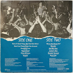 Iron City Houserockers LP Have a Good Time (but get out alive)  kansi VG+ levy VG+ Käytetty LP