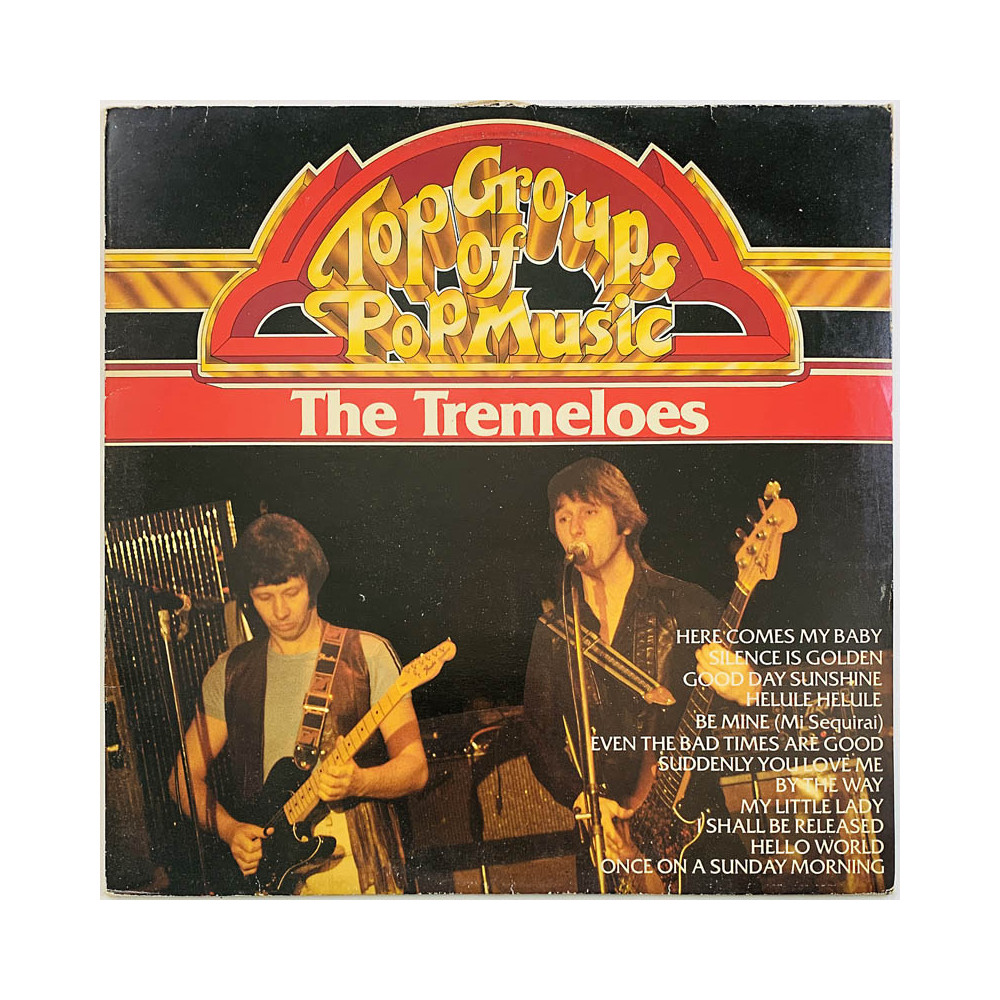 Tremeloes 1981 31986 Top groups of pop music Begagnat LP