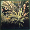 Pembroke Jim LP Corporal Cauliflowers Mental Function  kansi EX levy EX Käytetty LP