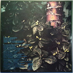 Pembroke Jim LP Corporal Cauliflowers Mental Function  kansi EX levy EX Käytetty LP