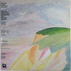 Amon Düül II LP Meetings With Menmachines Inglorious Heroes Of The Past ...  kansi EX levy EX Käytetty LP