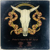 Outlaws LP Hurry Sundown  kansi VG levy VG+ Käytetty LP