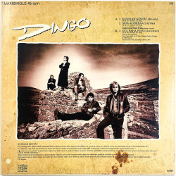 Dingo LP Kunnian kentät 12-inch maxi-single  kansi EX levy VG+ Käytetty LP