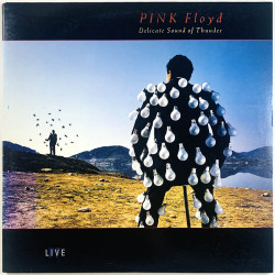Pink Floyd LP Delicate sound of thunder 2LP  kansi EX- levy EX Käytetty LP