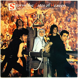 Wayne County & The Electric Chairs LP Storm the gates of heaven  kansi EX levy EX Käytetty LP