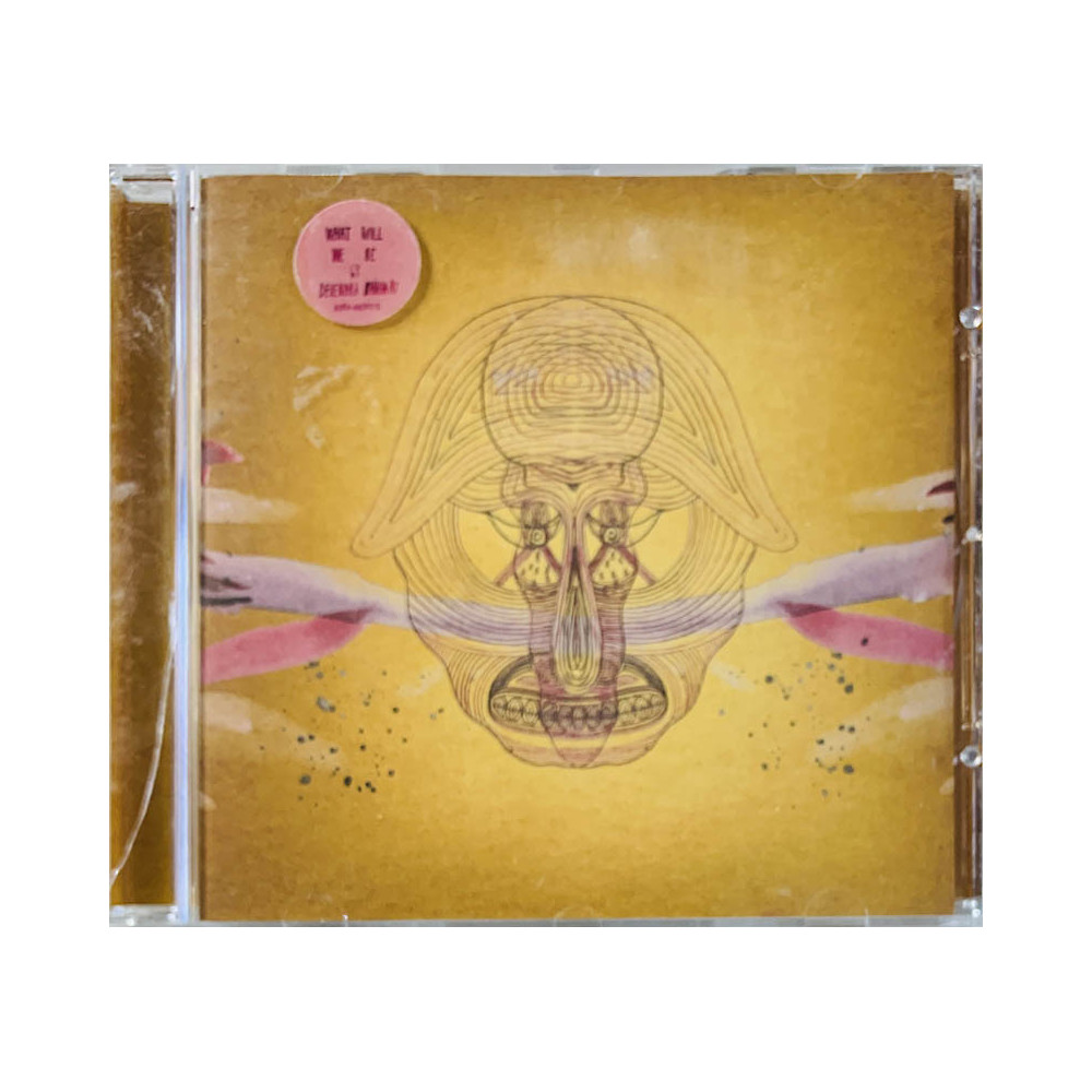 Banhart Devendra Käytetty CD What Will We Be  kansi EX levy EX Käytetty CD