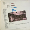 Zandt Townes Van LP Flyin’ Shoes  kansi EX levy EX Käytetty LP