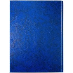 Jääkiekko 2004-2008 2008 ISBN 978-952-492-205-0 Markku Siukonen - Leijonille mitaleja Käytetty kirja