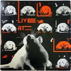 Susan, Real Kids, DMZ + more punk/garage from Boston LP Live at Rat 2LP  kansi EX levy EX Käytetty LP