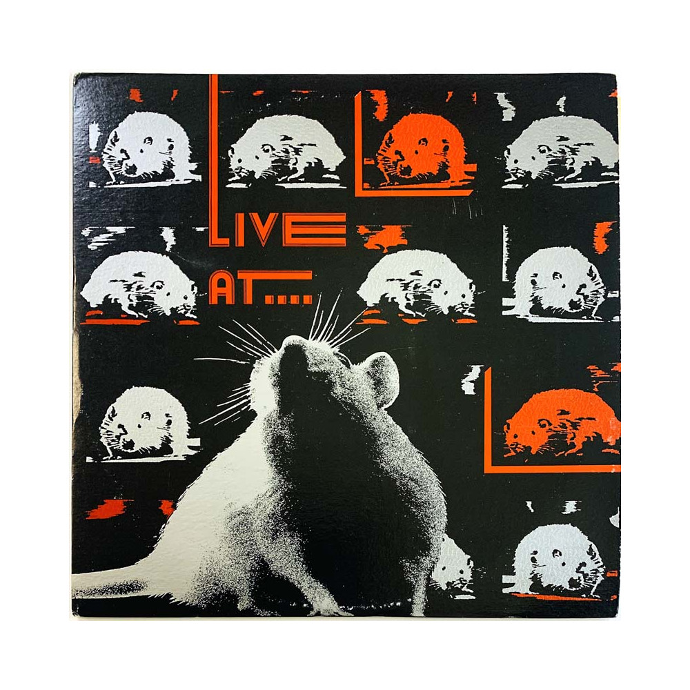 Susan, Real Kids, DMZ + more punk/garage from Boston LP Live at Rat 2LP  kansi EX levy EX Käytetty LP