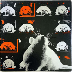 Susan, Real Kids, DMZ + more punk/garage from Boston LP Live at Rat 2LP  kansi EX levy EX Käytetty LP