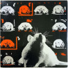 Susan, Real Kids, DMZ + more punk/garage from Boston LP Live at Rat 2LP  kansi EX levy EX Käytetty LP