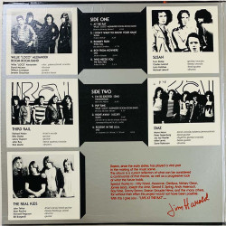 Susan, Real Kids, DMZ + more punk/garage from Boston LP Live at Rat 2LP  kansi EX levy EX Käytetty LP