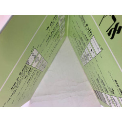 Eretz Eretz LP Israel’s Evergreens 2LP  kansi EX levy EX Käytetty LP