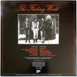Fucking World LP The Fucking World  kansi EX levy EX Käytetty LP