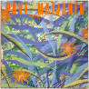 Maijanen Pave 1985 062 1384701 Palava sydän Begagnat LP