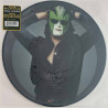 Steve Miller Band 1973 504212 The Joker, kuva-LP LP