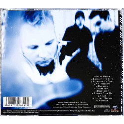 Evanescence CD Fallen  kansi EX levy EX Käytetty CD