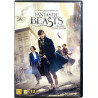DVD - Elokuva Käytetty DVD Fantastic Beasts  kansi EX levy VG+ Käytetty DVD