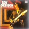 Orbison Roy 1989 MNT 463419 1 Best-loved standards Begagnat LP