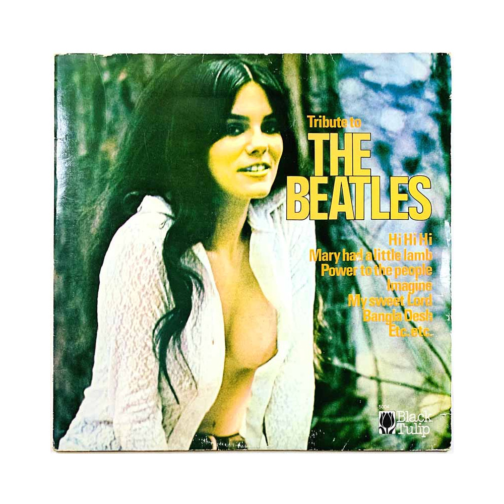 joku esittää Beatlesiä vinyl LP Tribute To The Beatles  kansi VG- levy EX- Käytetty LP