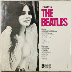 joku esittää Beatlesiä vinyl LP Tribute To The Beatles  kansi VG- levy EX- Käytetty LP