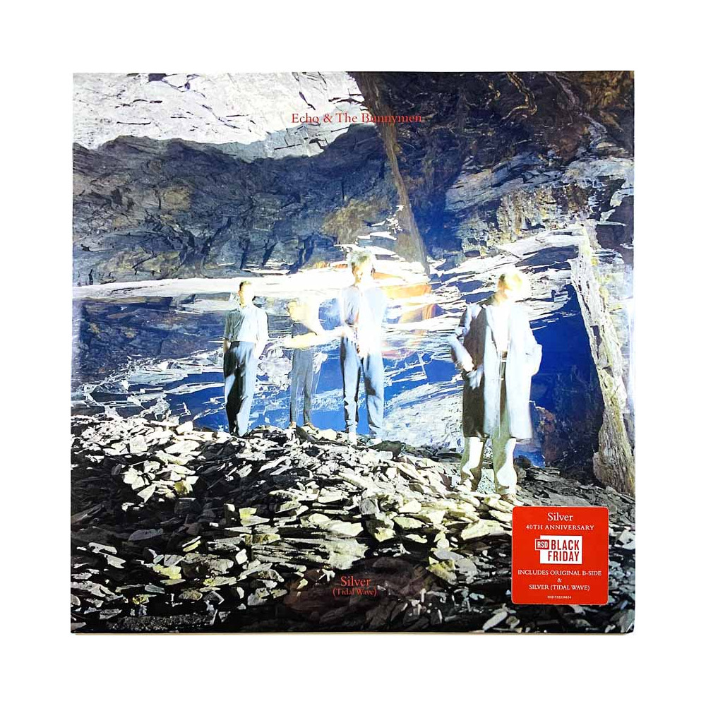 Echo & The Bunnymen LP-levy Silver (Tidal Wave) 12-inch maxi  LP