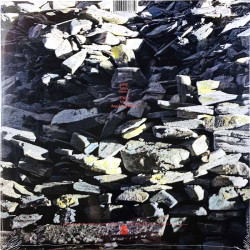 Echo & The Bunnymen LP-levy Silver (Tidal Wave) 12-inch maxi  LP