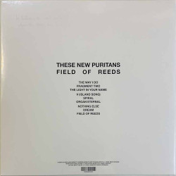 These New Puritans LP Field Of Reeds 2LP LP