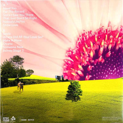 Winston Surfshirt LP Apple Crumble, transparent purple vinyl LP