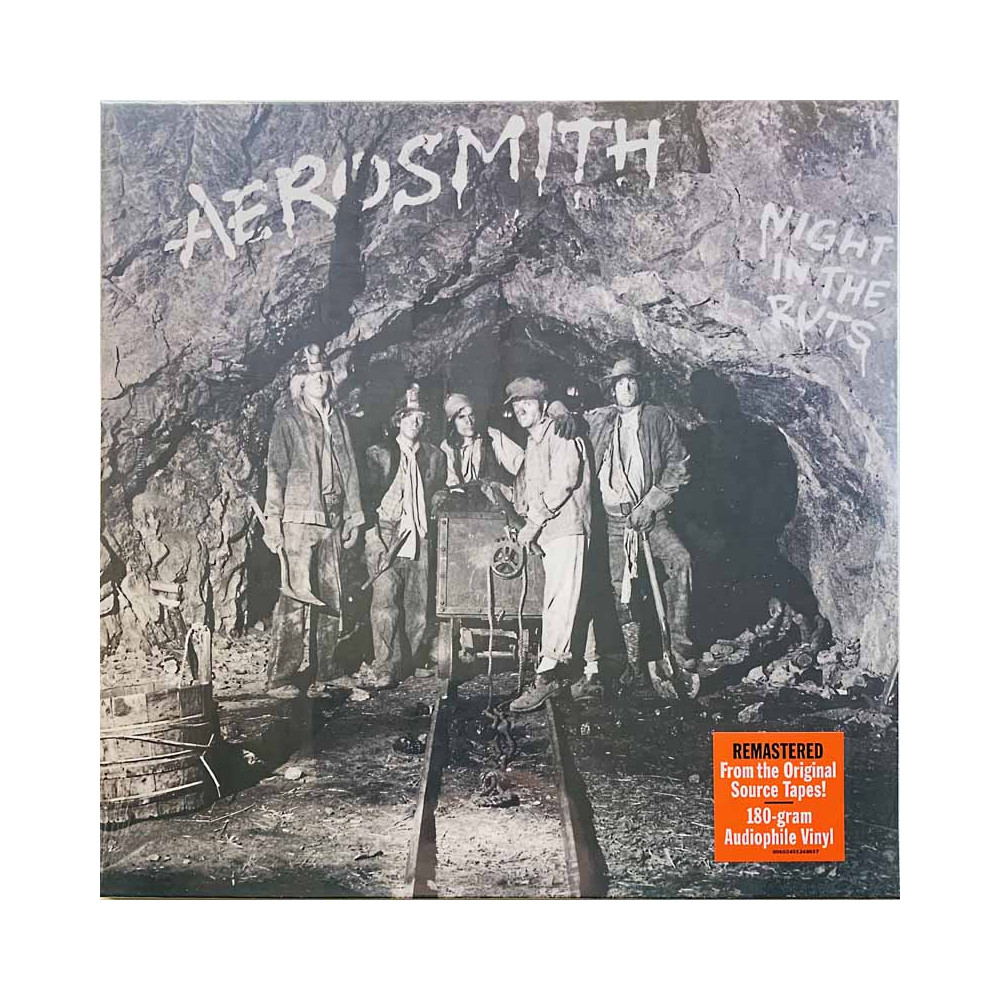 Aeroamith LP Night in the ruts  vinyyli LP