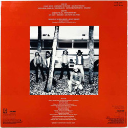 Hank Williams Jr. LP The New South  kansi EX levy EX Käytetty LP