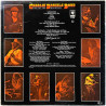 Charlie Daniels Band LP Fire On The Mountain  kansi VG+ levy EX Käytetty LP