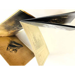 Robert Plant and the Sensational Space Shifters 2014 7559-79537-3 Lullaby and... the Ceaseless Roar CD Begagnat