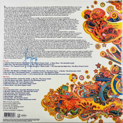 Nazz, Seeds, Standells, Count Five ym. LP Nuggets: Original Artyfacts From The First Psychedelic Era 1965-1968  vinyyli LP