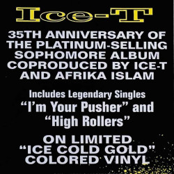 Ice-T 1988 RCV1 25765 Power LP