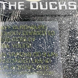 Ducks LP High Flyin'  vinyyli LP