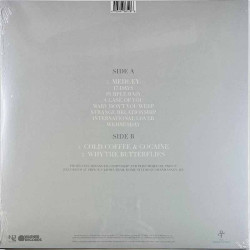 Prince LP Piano & A Microphone 1983  vinyyli LP