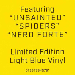 Slipknot LP We Are Not Your Kind 2LP  vinyyli LP